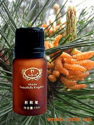 廣州雨潤(rùn)美容美體與廣州靈蘭化妝品廠的平面設(shè)計(jì)合作